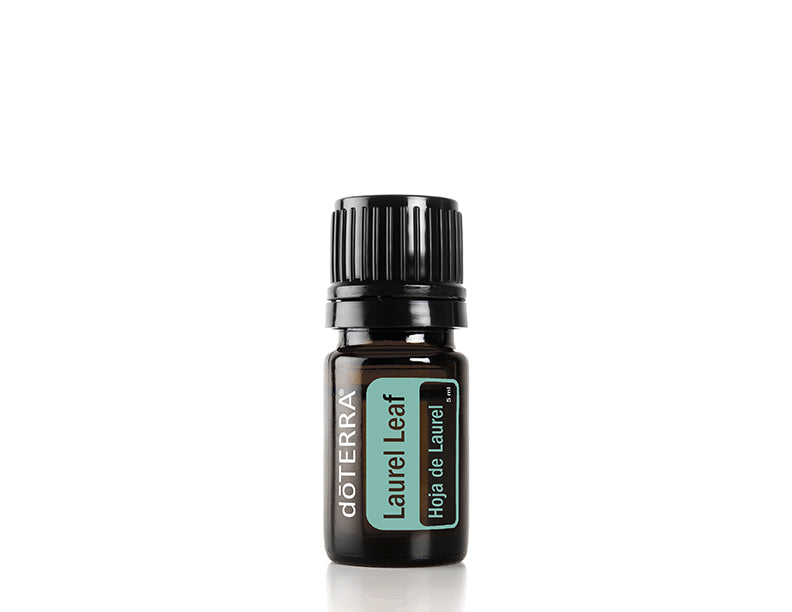 Laurel Leaf doTERRA | 5ml | Laurus nobilis