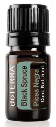 Aceites Esenciales Individuales Abeto Negro - Picea mariana - 5 ml - AAceites Esenciales